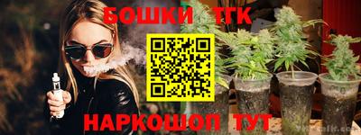 СК Обь